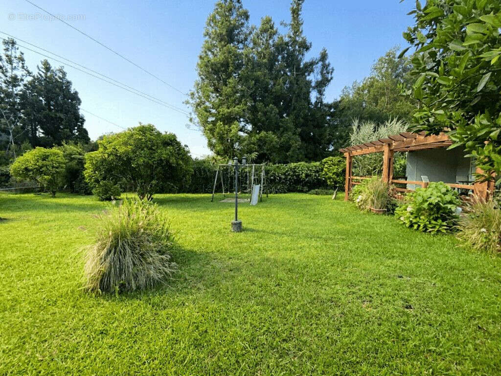 Maison 190 m² à La Plaine-Des-Palmistes  - photo 2