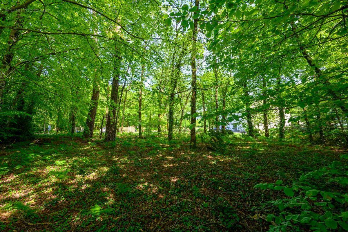 Terrain à CAUDAN