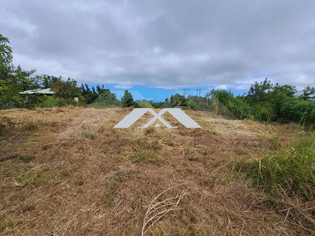 Terrain à SAINT-JOSEPH
