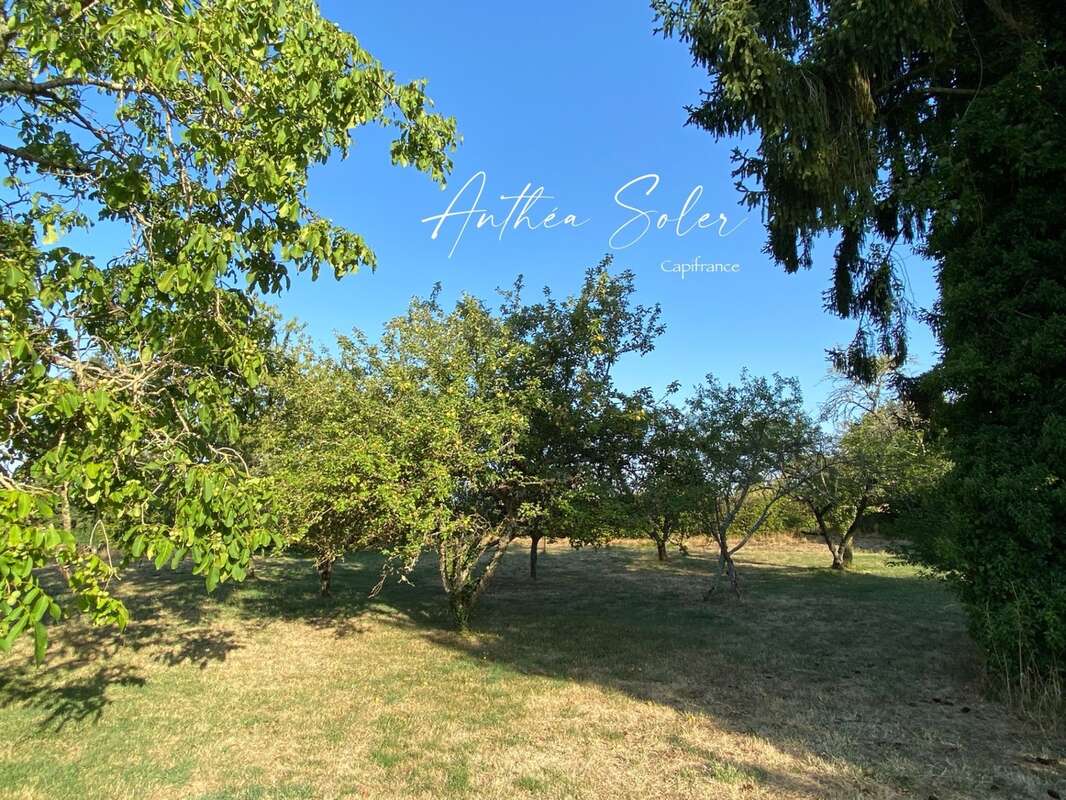 Ancien corps de ferme du XVIIIᵉ – 130 m², dépendances et plus de 4 000 m² de terrain - photo 4