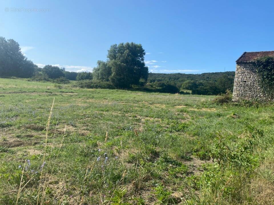 Terrain à MALATAVERNE