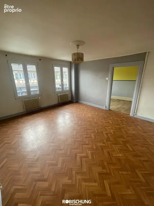 DANNEMARIE : Maison individuelle avec 2 appartements + dépendance - photo 3