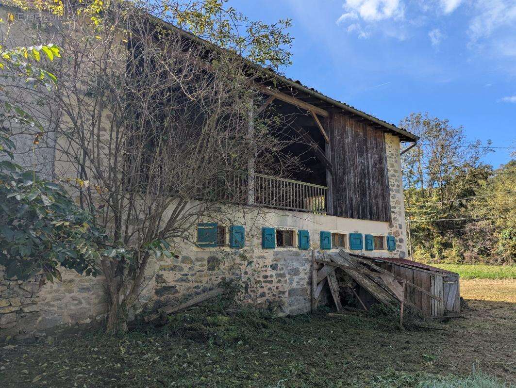 Maison à NESCUS