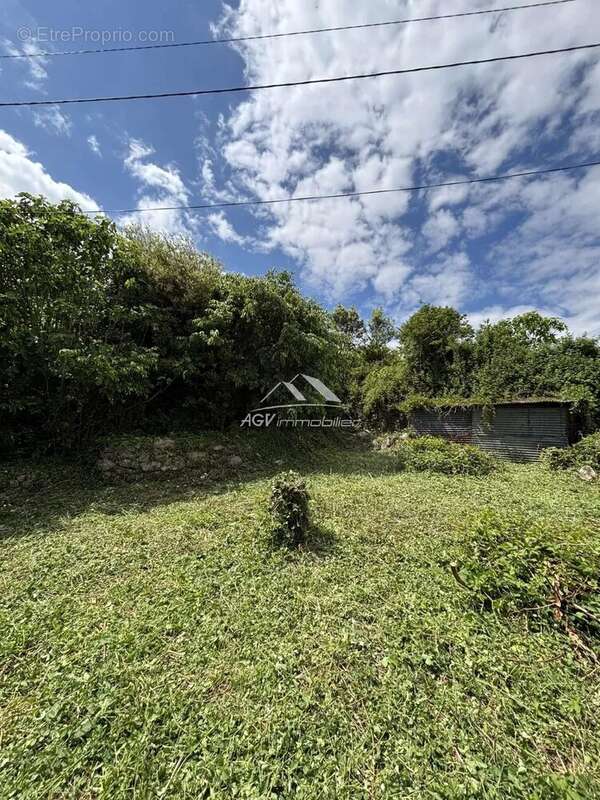 Terrain à BRANOUX-LES-TAILLADES