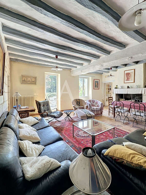 Propriété  avec moulin,  Charme et potentiel exceptionnel - photo 5