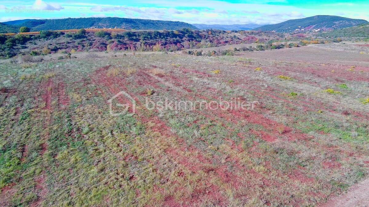 Terrain à SAINT-GUIRAUD