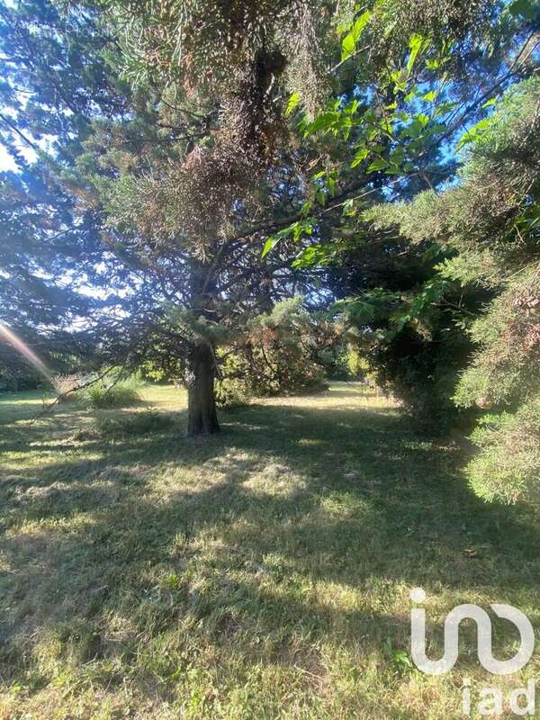 Photo 2 - Terrain à ALES