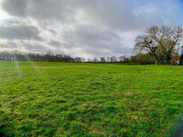Terrain à EVRY-GREGY-SUR-YERRE