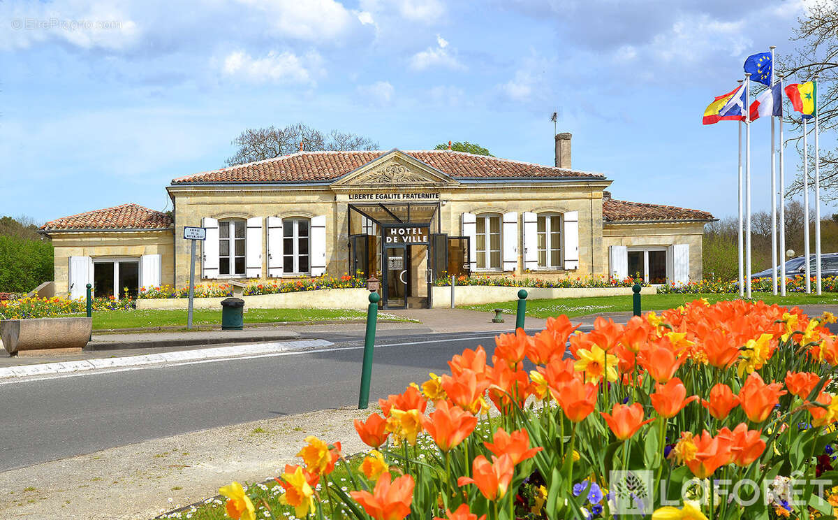 Commerce à MARTIGNAS-SUR-JALLE