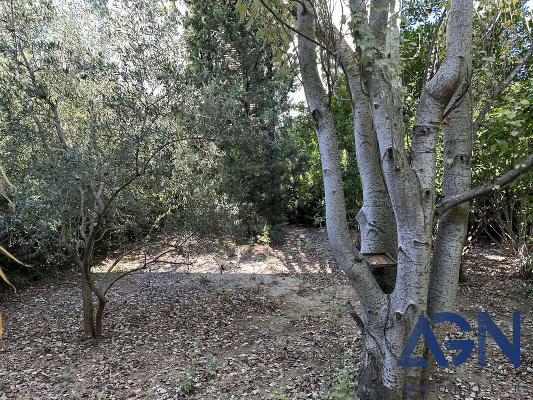 Maison à MONTPELLIER