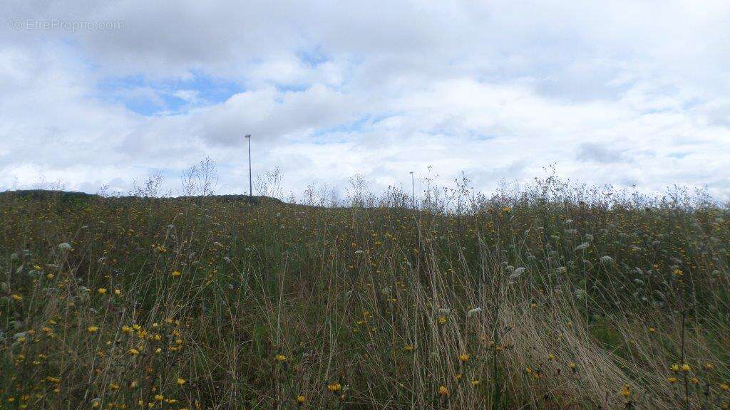 Terrain à CHAMPIGNOL-LEZ-MONDEVILLE