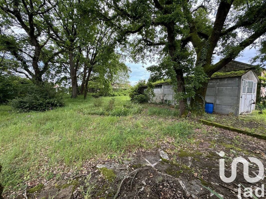 Photo 1 - Terrain à VOEUIL-ET-GIGET