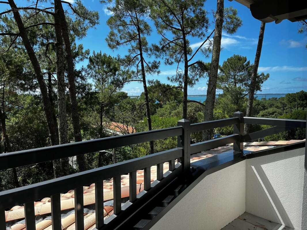 Magnifique villa avec vue sur le Bassin - photo 2