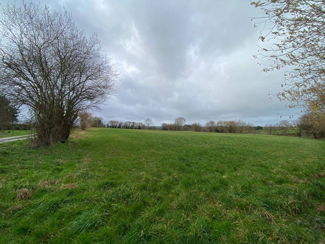 Terrain à TORIGNI-SUR-VIRE