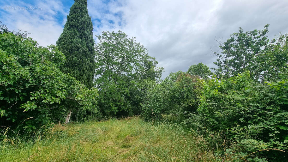 Maison à L'ISLE-EN-DODON