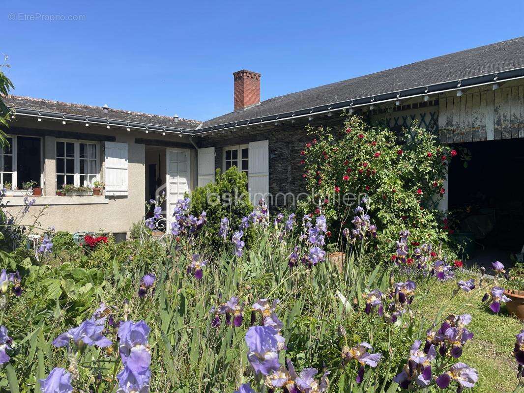 Maison à JUIGNE-SUR-LOIRE