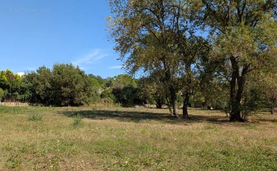 Terrain à CHATEAUNEUF-GRASSE