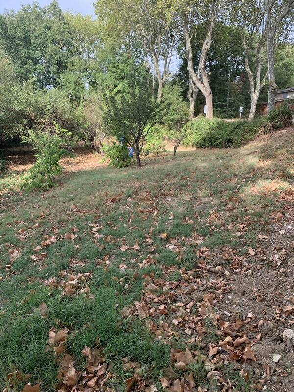 Terrain à CENNE-MONESTIES