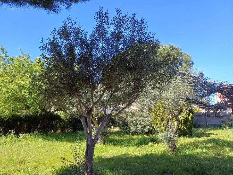 Terrain à LA CRAU