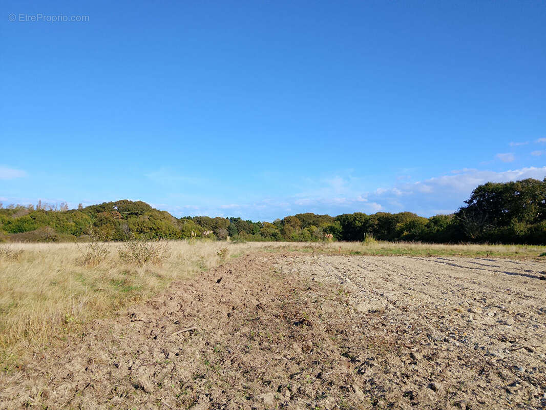 Terrain à LA PLAINE-SUR-MER