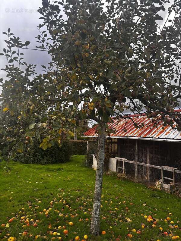 Photo 5 - Maison à BULLY