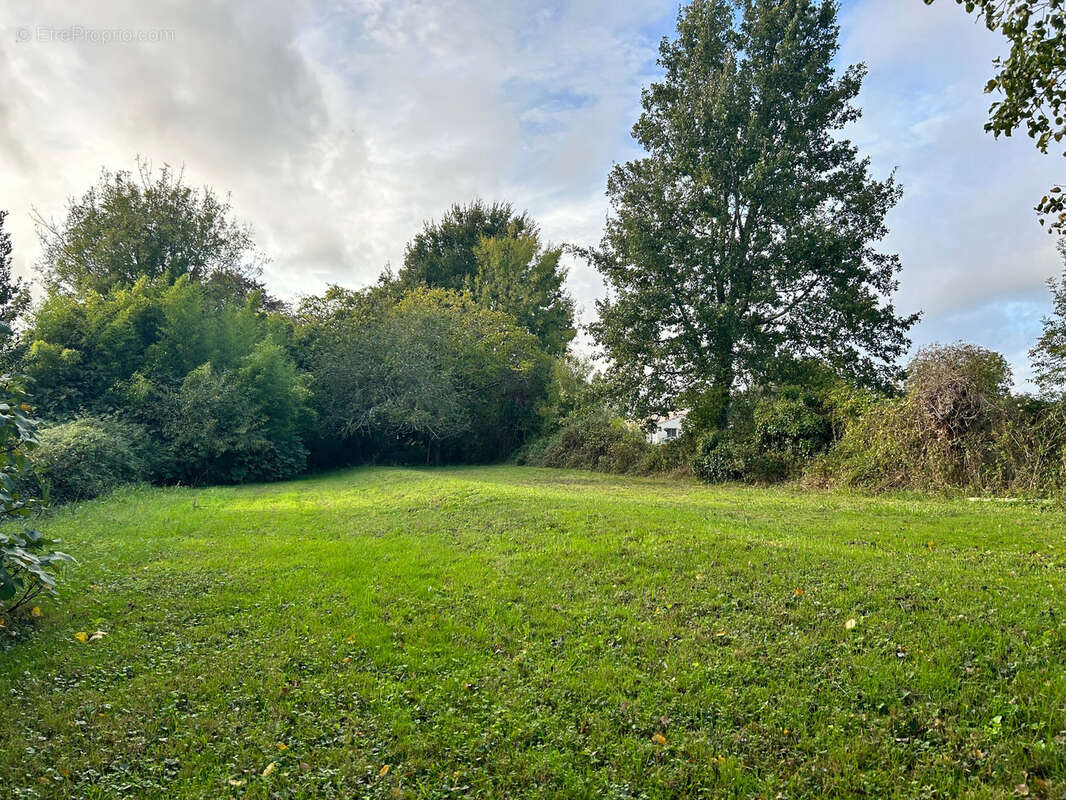 Terrain à SAINT-ANDRE-DE-LIDON