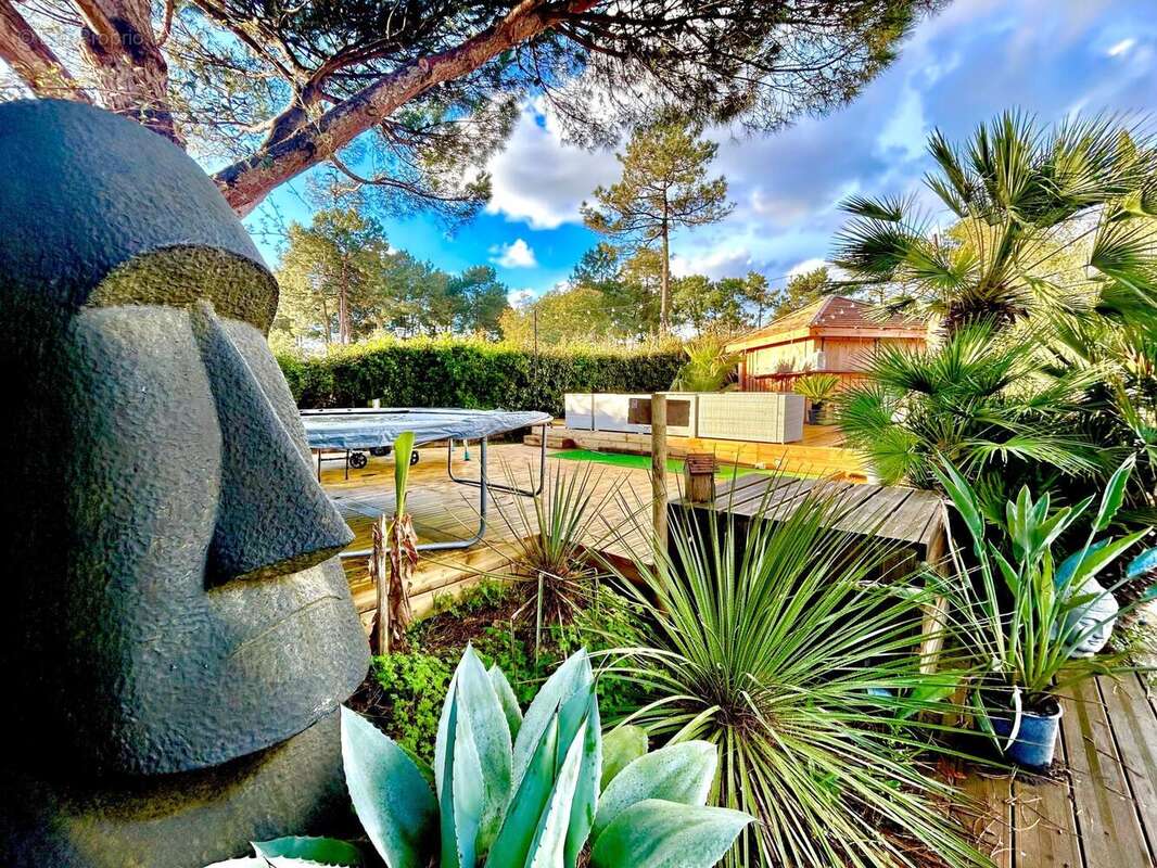 Photo 3 - Maison à LACANAU