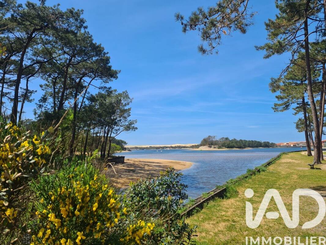 Photo 1 - Appartement à VIEUX-BOUCAU-LES-BAINS