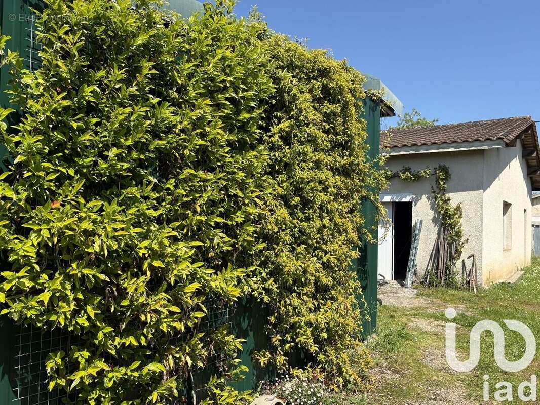 Photo 4 - Terrain à CARBON-BLANC