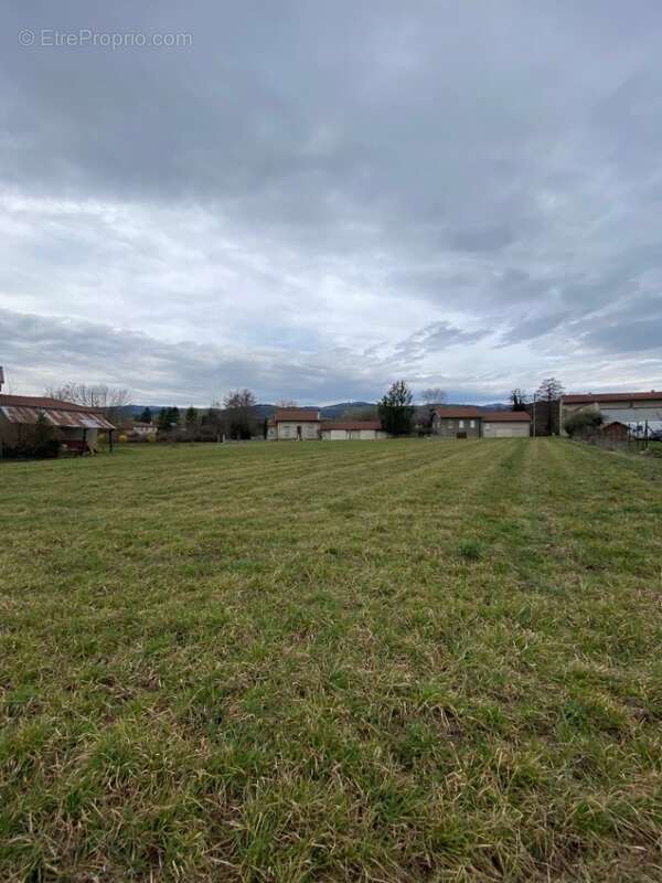 Terrain à CHAMPDIEU