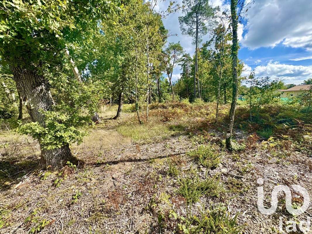 Photo 5 - Terrain à MARSAC-SUR-L'ISLE