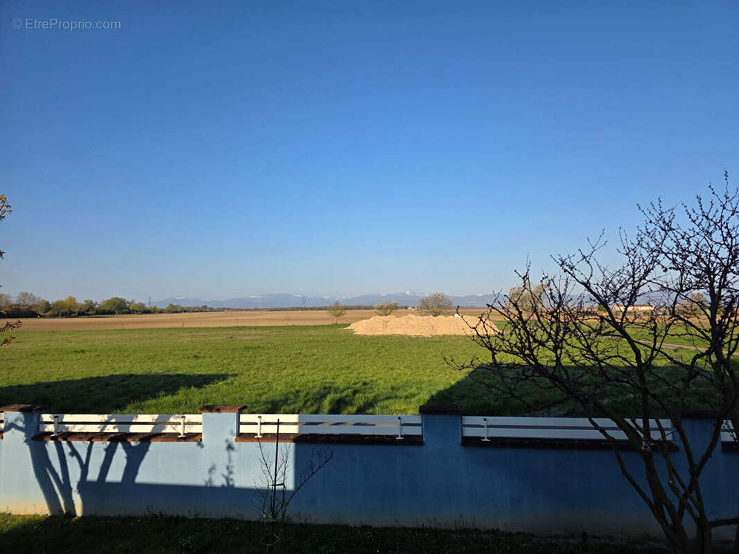 Maison à WECKOLSHEIM