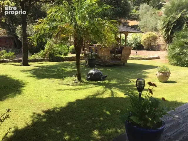 A VENDRE Calvi   Terrain constructible de 5 249 m2 (en zone UCc) - photo 2