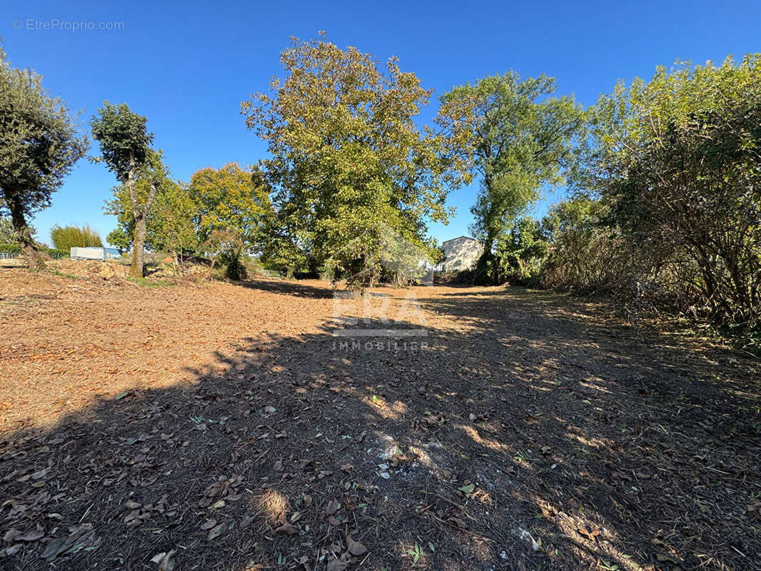 Grand terrain constructible à Chauray - photo 2