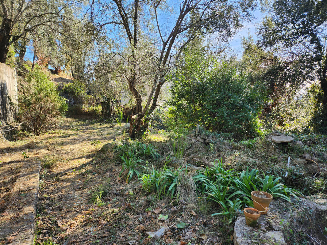 Terrain à SAINT-BLAISE