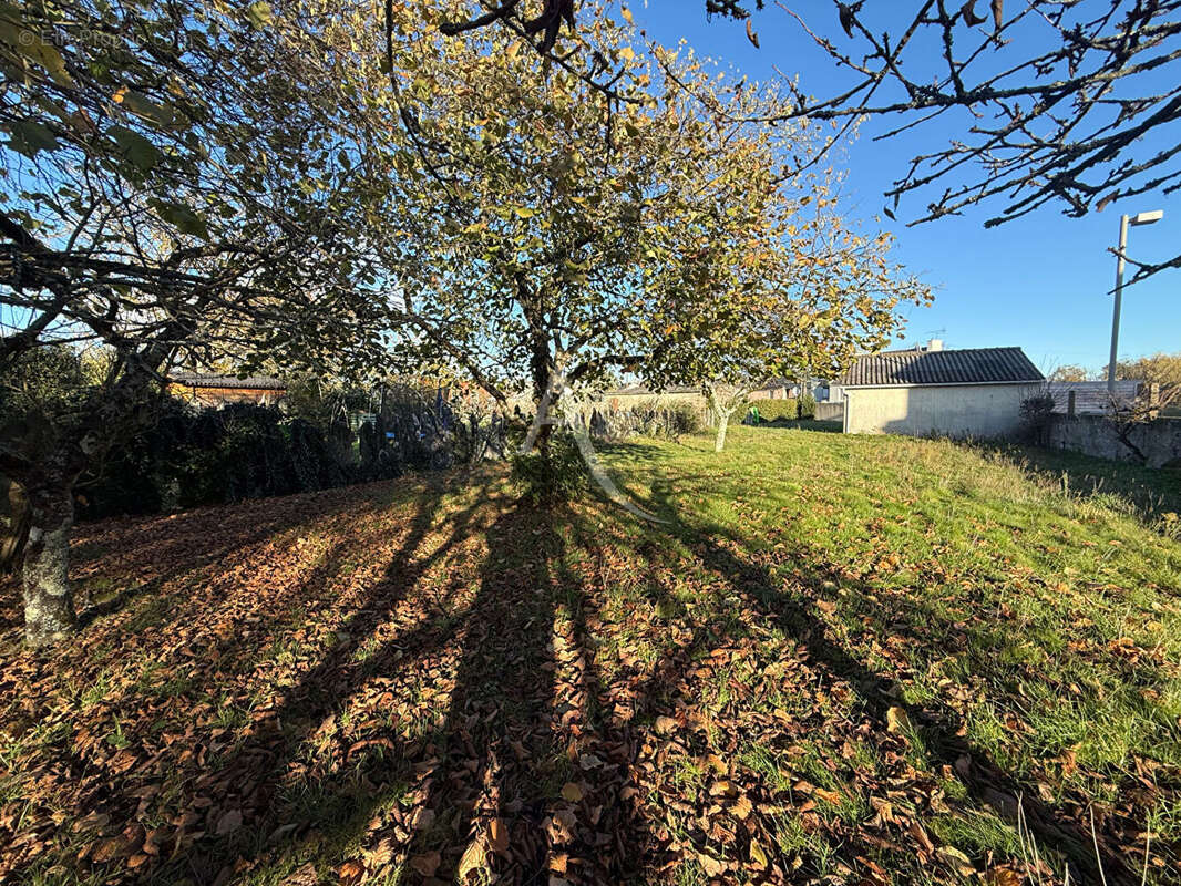 Terrain à REDON