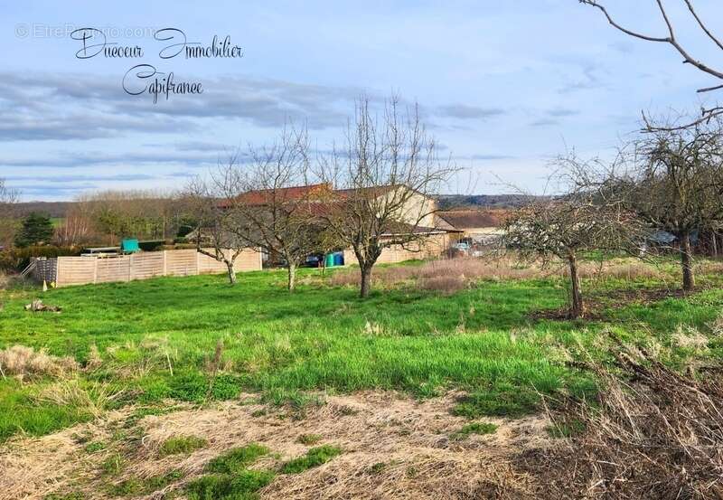 Terrain à vendre  LAIZE (71) - photo 3
