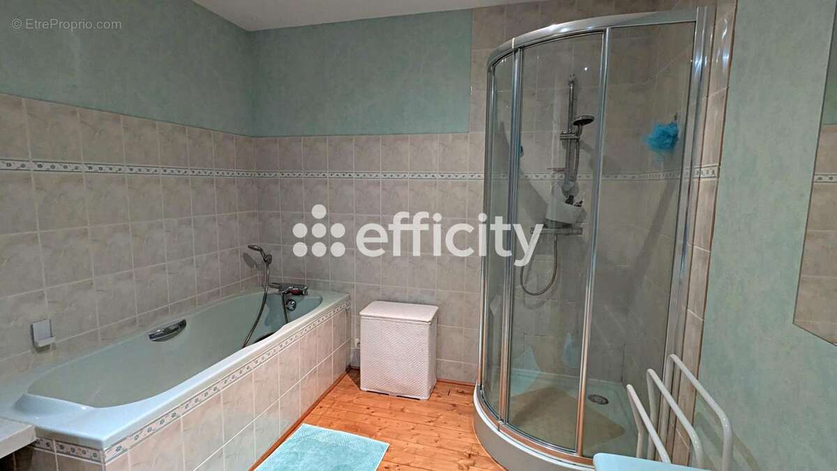 Maison 355 m² à Asnieres-Sur-Nouere  - photo 16