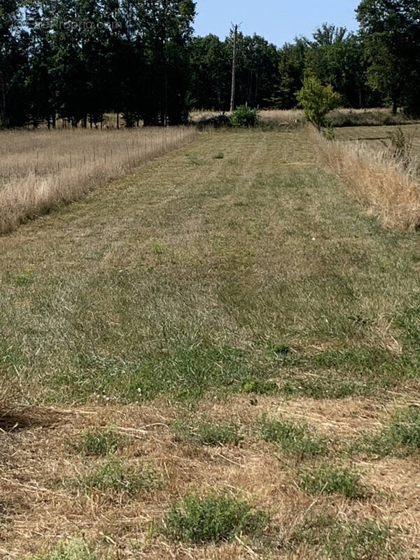 Terrain à GRUNDVILLER