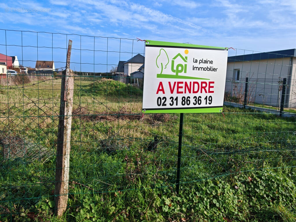 Terrain à FEUGUEROLLES-BULLY