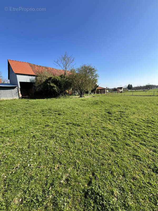 Terrain à SAINT-RIQUIER