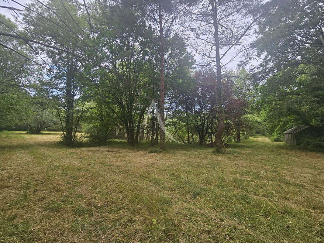 Terrain à CERE-LA-RONDE