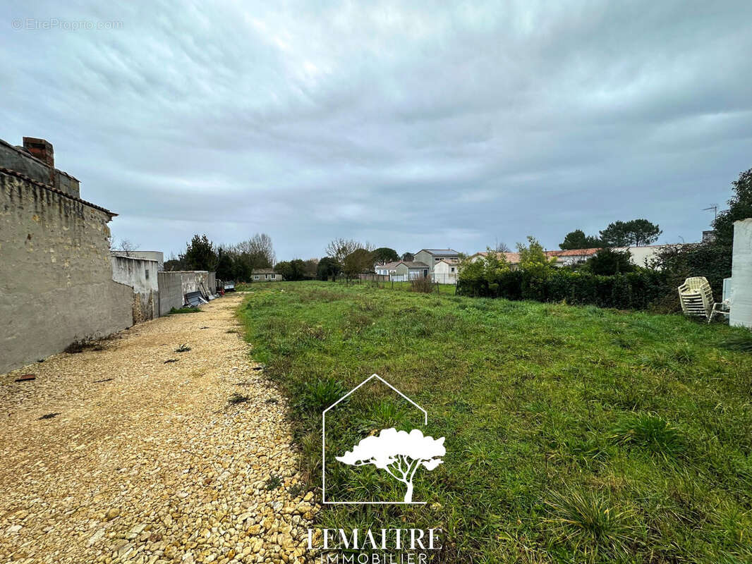 Terrain à LA TREMBLADE