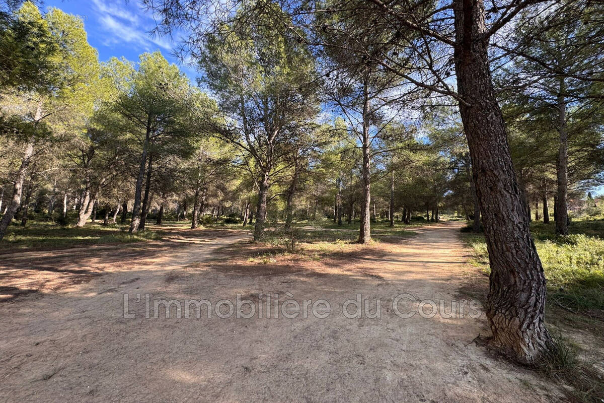 Terrain à SAINT-MITRE-LES-REMPARTS