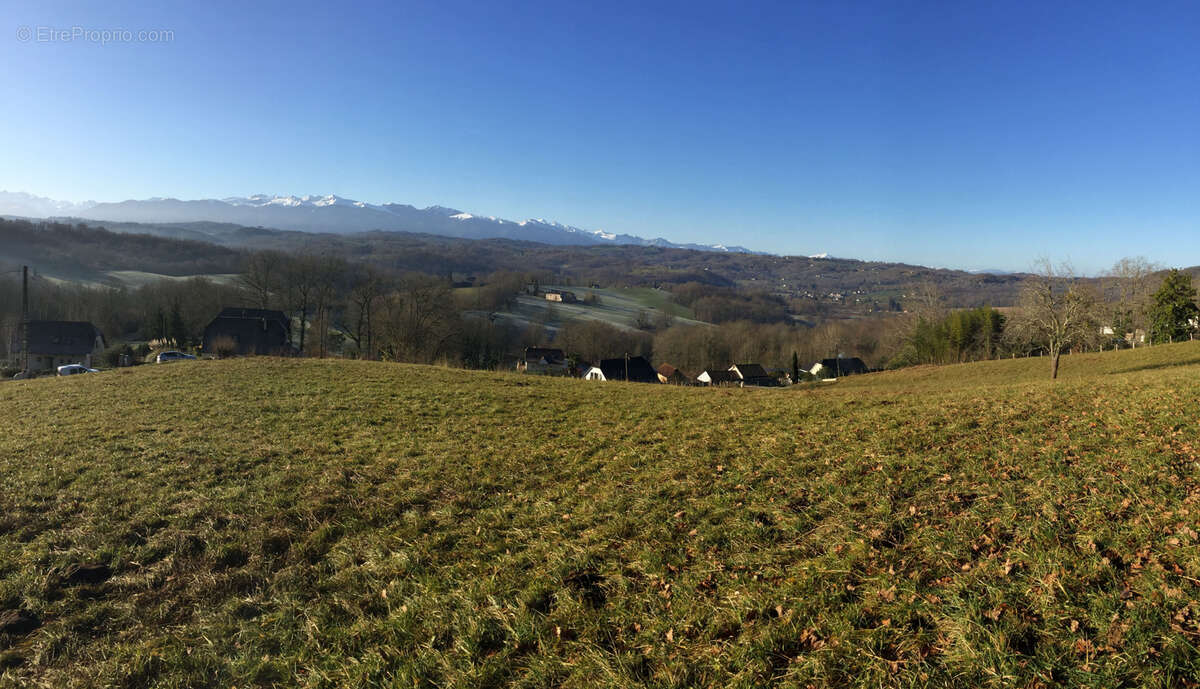 Terrain à LASSEUBE
