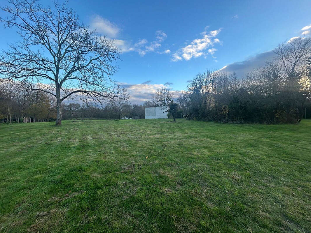 Terrain à LA GUERCHE-SUR-L&#039;AUBOIS