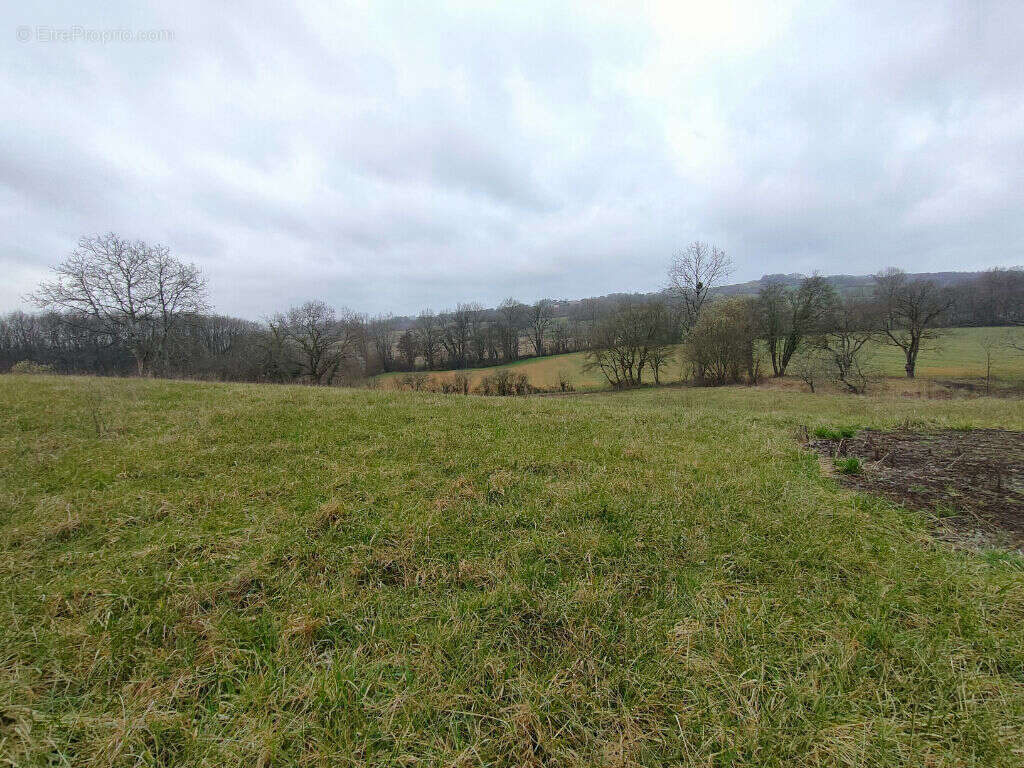 Terrain 1320 m² proche d'Orthez direction Pau - photo 3