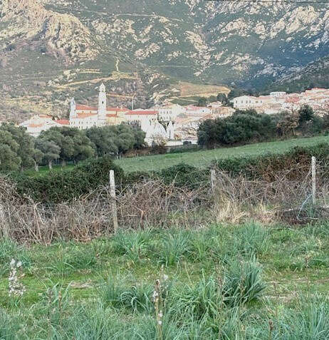 Terrain à CALENZANA