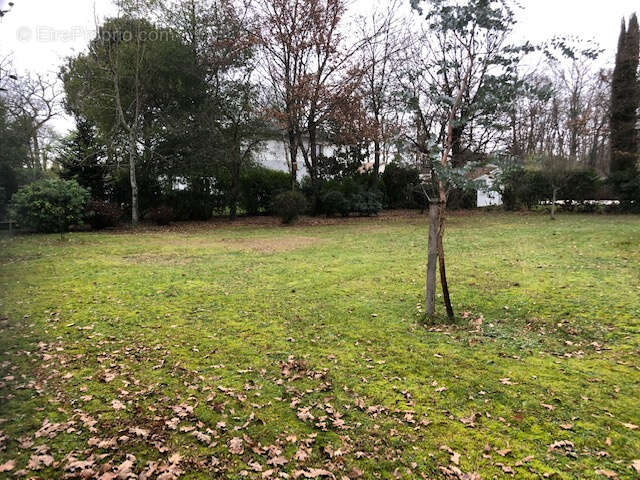 Maison à MARTIGNAS-SUR-JALLE