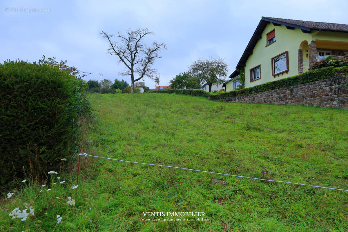 Terrain à DANNELBOURG